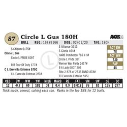 Circle L Gus 180H