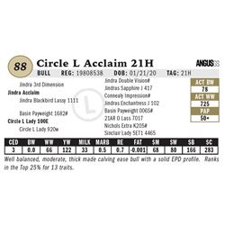 Circle L Acclaim 21H