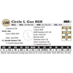 Circle L Gus 86H