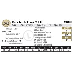 Circle L Gus 27H