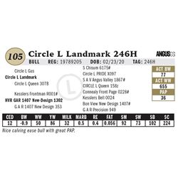 Circle L Landmark 246H