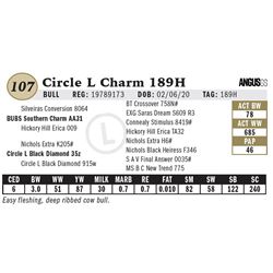 Circle L Charm 189H