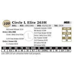 Circle L Elite 263H