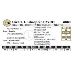 Circle L Blueprint 270H