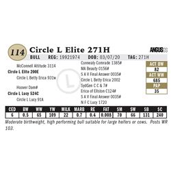 Circle L Elite 271H