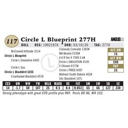 Circle L Blueprint 277H