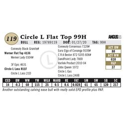 Circle L Flat Top 99H