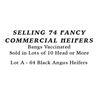 Image 1 : Lot A - 64 Black Angus Heifers