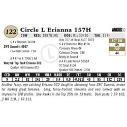 Circle L Erianna 157H