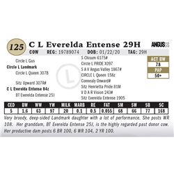 C L Everelda Entense 29H