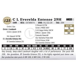 C L Everelda Entense 29H