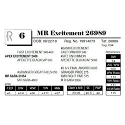 MR Excitement 26989