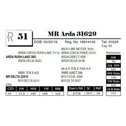 MR Arda 31629