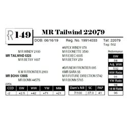 MR Tailwind 22079