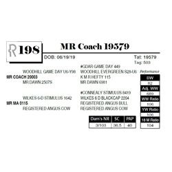 MR Coach 19579