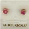 Image 1 : 14K Yellow Gold Ruby Earrings, Made in Canada, Suggested Retail Value $80