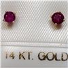 Image 1 : 14K Yellow Gold Ruby(0.25ct) Earrings, Made in Canada, Suggested Retail Value $100