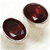 Image 1 : Silver Garnet Earrings, Suggested Retail Value $80