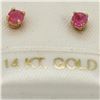 Image 1 : 14K Yellow Gold Ruby Earrings, Made in Canada, Suggested Retail Value $80