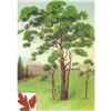 Image 1 : 1920's Sassafras Color Lithograph Print