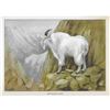 Image 2 : 1920's Mountain Goat Color Lithograph Print