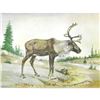 Image 1 : 1920's Caribou Color Lithograph Print