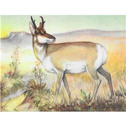 1920's Antelope Color Lithograph Print