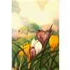 Image 1 : 1920's Crocus Color Lithograph Print