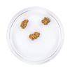 Image 1 : Lot of Gold Nuggets 2.41 Grams Total Weight