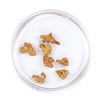 Image 2 : Lot of Gold Nuggets 3.60 grams Total Weight