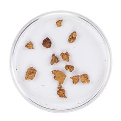 Lot of Gold Nuggets 2.22 Grams Total Weight
