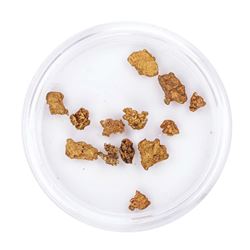 Lot of Gold Nuggets 3.25 Grams Total Weight