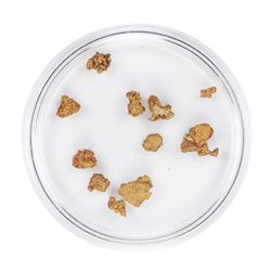 Lot of Gold Nuggets 2.35 Grams Total Weight