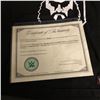 Image 2 : AUTHENTIC BRAUN STROWMAN "MONSTER AMONG US" SIGNED T-SHIRT (WWE COA)