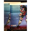 Image 2 : HOCKEY POSTERS LOT