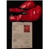 Image 2 : MUHAMMAD ALI AUTOGRAPHED EVERLAST BOXING GLOVE (JSA LOA)