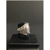 Image 2 : DALE EARNHARDT SR #3 THE INTIMIDATOR "1951-2001" CHAMPIONSHIP REPLICA RING