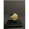 Image 2 : USC TROJANS CHAMPIONS 1974 "PAT HADEN" CHAMPIONSHIP REPLICA RING