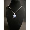 Image 2 : SEATTLE SEAHAWKS N.F.L CHAMPIONSHIP NECKLACE