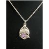 Image 1 : BALTIMORE RAVENS SUPER BOWL XLVII N.F.L CHAMPIONSHIP NECKLACE