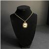 Image 2 : DALE EARNHARDT JR #88 CHAMPIONSHIP NECKLACE