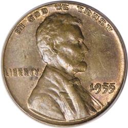 1955/55 1C Doubled Die Obverse MS64 Brown PCGS. Accord