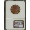 Image 2 : 2001-P $1 Sacagawea Dollar--Reverse Clad Layer Missing