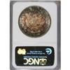 Image 2 : 1879-S S$1 MS67 NGC. An amazing Superb Gem with deeply