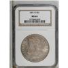 Image 1 : 1891-O S$1 MS64 NGC. Enticing combinations of champagn