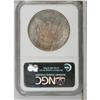 Image 2 : 1891-O S$1 MS64 NGC. Enticing combinations of champagn