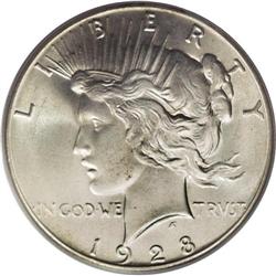 1928 S$1 MS65 PCGS. Light caramel-gold patina dominate