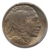 Image 2 : 1913-D Buffalo Nickel Type-II MS-64 PCGS
