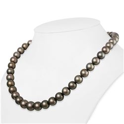 Dark Silver and Subtle Peacock Round Tahitian Pearl Necklace, 18", 9.0-11.3mm, AA+/AAA Quality