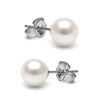 White Akoya Pearl Stud Earrings, 6.5-7.0mm